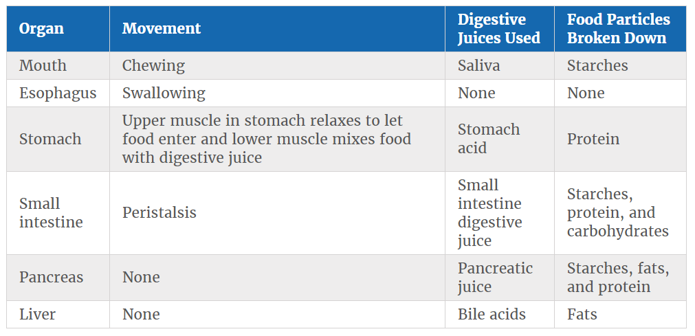 what is a digestive juice